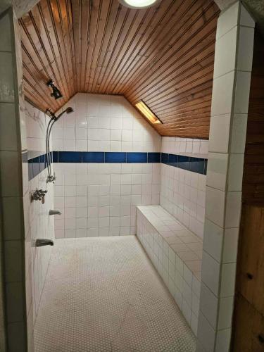 Renovated attic apartment in Альвін (Техас)