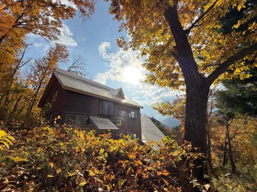 玄関開けたらスキー場!400平米の贅沢空間で大型犬もOKシアタールーム完備 Skiin 400m2 Luxury Lodge Large Dogs OK Big Theater Room