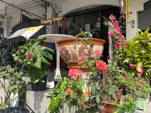 Happy Hope - image 12