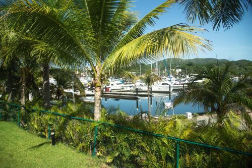 Mareia Ixtapa