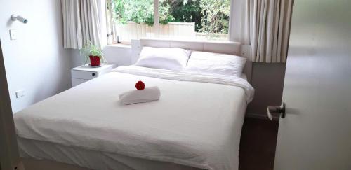 Happy room, Auckland (foto 7)