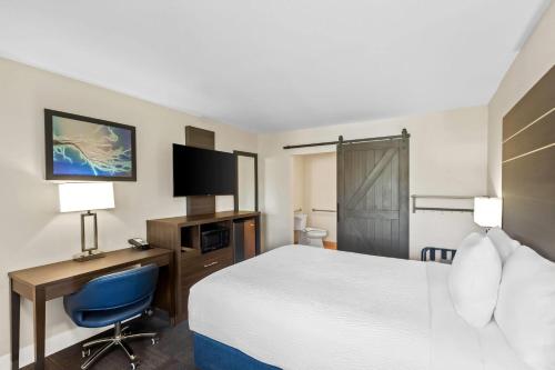 Travelodge by Wyndham Santa Rosa Wine Country - image 6