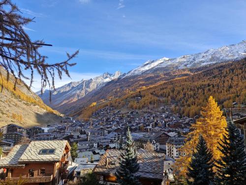 Studio direkt im Zentrum, tolle Terrasse, Aussicht, Zermatt (fotografie 8)