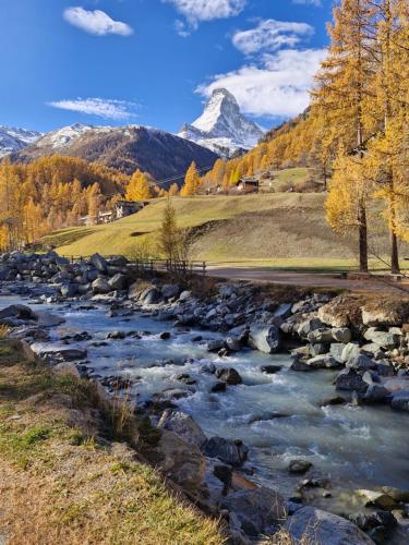 Studio direkt im Zentrum, tolle Terrasse, Aussicht, Zermatt (fotografie 9)