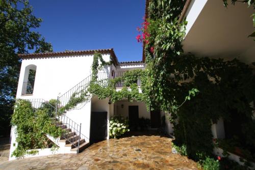 Apartamento Rural Las Palmeras in 阿爾莫納斯特拉雷亞爾