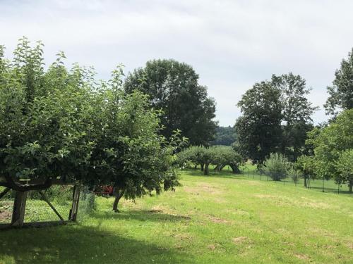 Kert, Ferienhaus Monika in Gerersdorf Bei Gussing