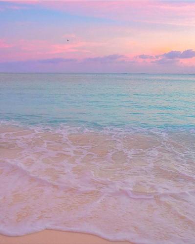 Apartment in Lecheria, Beach, Marina, Shopping in Puerto La Cruz