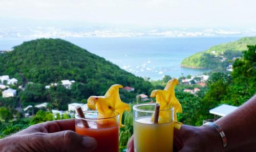 CANOPÉE by Bay-Attitude - Location saisonnière - Le François