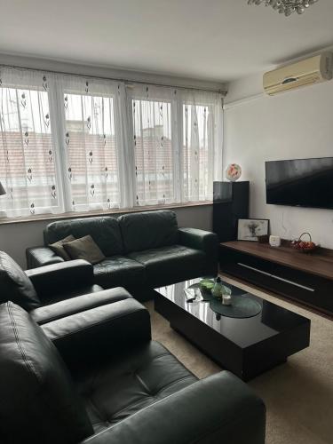 Apartment Cameo