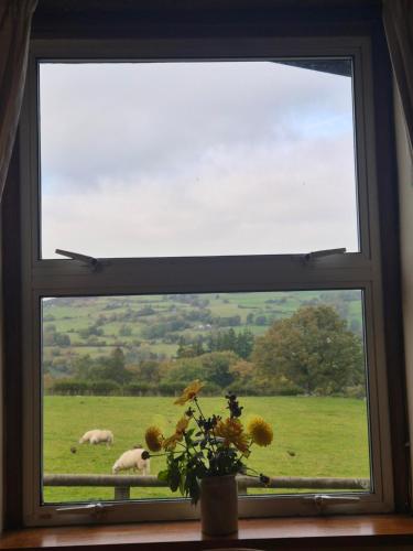 The Old Barn in Llangwm (Conwy)