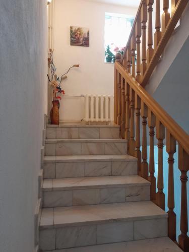 Vila Kira Buşteni (Vila Kira Busteni) in 布什泰尼