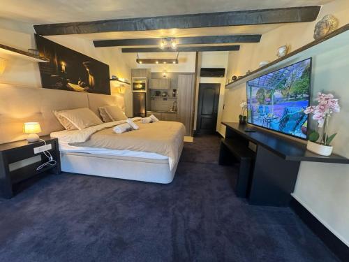 Auberge Nostradamus, Apartment 5 - Location saisonnière - Salon-de-Provence