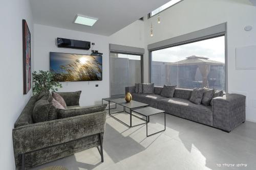 Koplietošanas atpūtas telpa ar TV, וילות היוקרה עידן הנוף ואחוזת אסתובן in Yaara