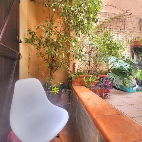 bambou house x Jardin calme centre-ville in District 03