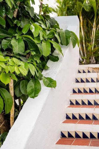 Kyo I Rustic Villa Beach/Golf Paradise in Rio Mar - image 3