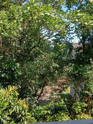 Mayhill Cottage in Southbroom