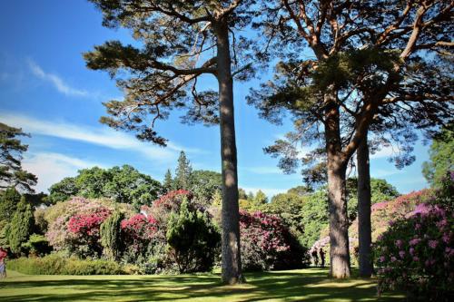 Central Stay-halfway between Killarney and Tralee in Kilnanare
