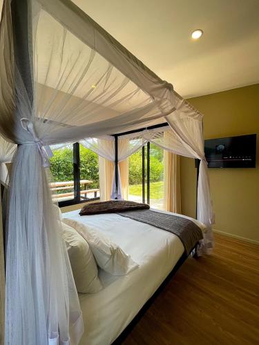The Studio at Ziwa