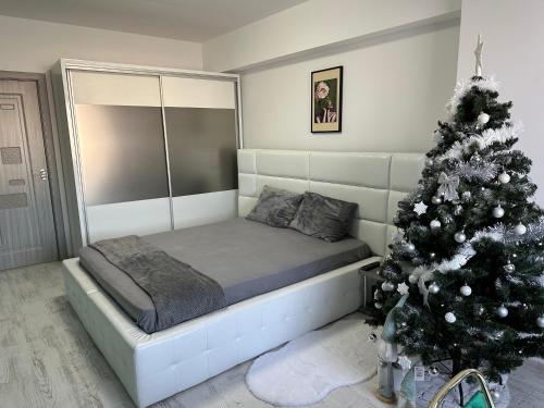 Studio de poveste in Craiovita Noua
