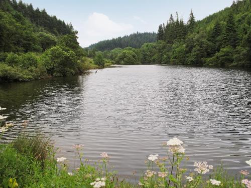 外部景觀, 比克利校舍鄉村別墅 (Bickley School House) in 哈克內斯