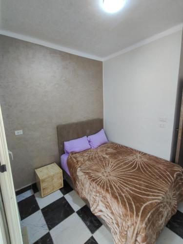 Cairo Moon View Hotel - image 8