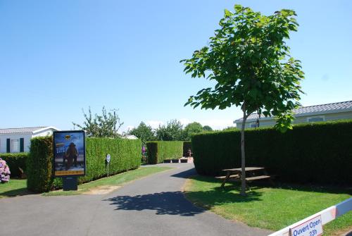 Le Clos Tranquille - Camping - Gonneville-en-Auge