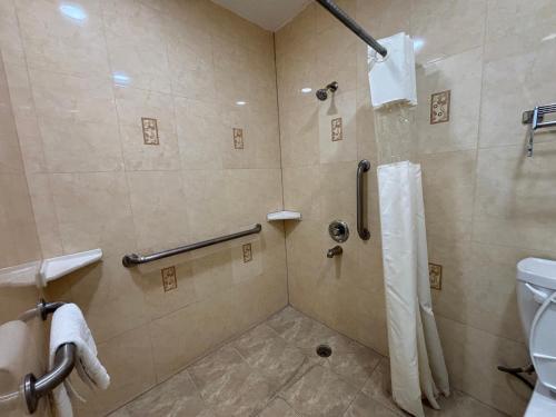 Economy Inn - Burbank Airport - 화장실