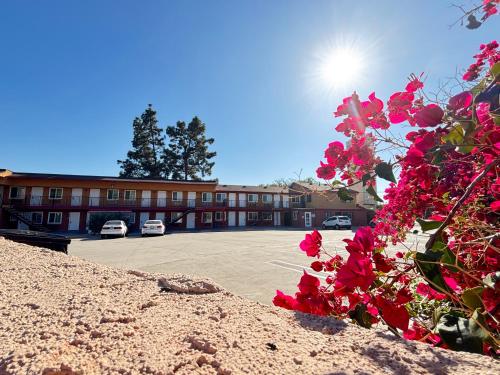 Economy Inn - Burbank Airport - 숙소 외관