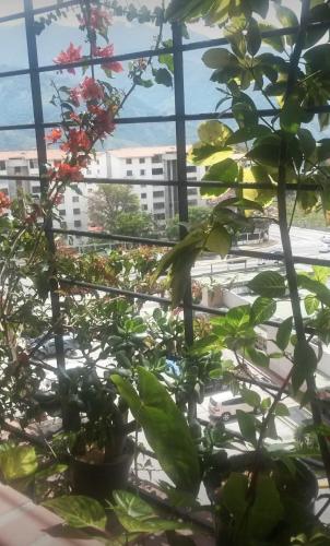 Cozy Modern Apartment, Residencia El Rodeo in Merida