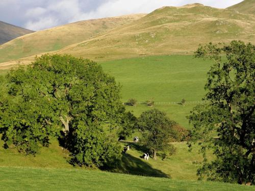 A szálláshely kívülről, Gateside Farmhouse Sedbergh in Sedbergh