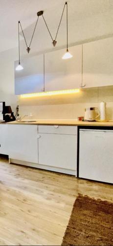 貝爾格勒 Center Belgrade 4星级 单人房 泳池