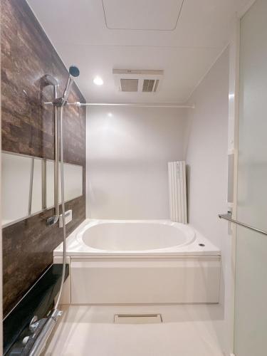 三米Saint Le Brun102