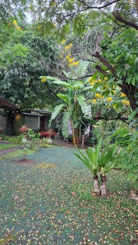 Oasis Pai Resort – Pai, ND