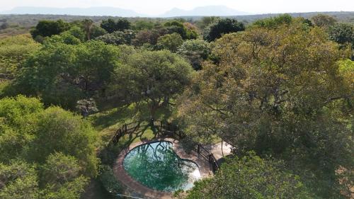泳池, Kruger Park Farmstay near Orpen Gate in 索恩布西禁獵區