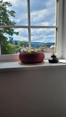 Šumavská pohoda Zdíkovec 21 (Sumavska pohoda Zdikovec 21) in 茲迪科夫
