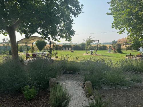 Garden, Paciu Maison - Dimora Artistica Immersiva in Ozzano dell' Emilia