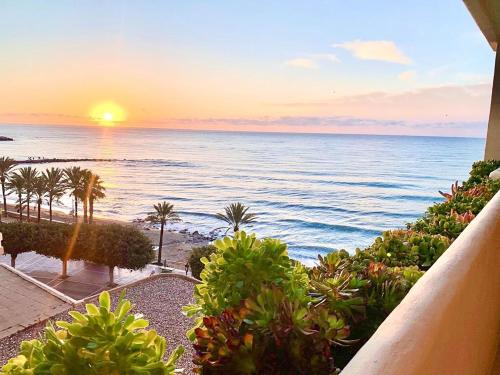 Your Dream Vacation