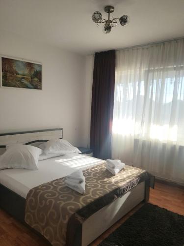 Pensiunea Magnolia din Tismana in Tismana