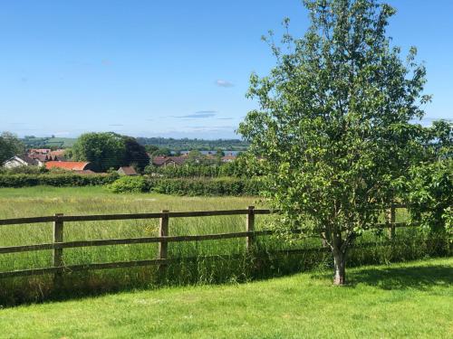 景觀, Meadow View-Uk34416 in 切德