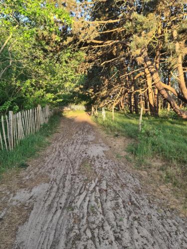 Coucou - luxe bed and breakfast in De Haan