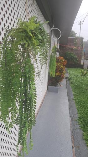 Apartamento La Fortuna #2, Fortuna (foto 8)