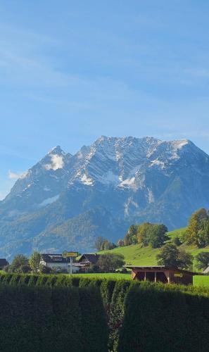 Ferienhaus - Hoamathaus