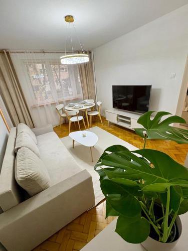 Exterior view of MW Leo Apartament