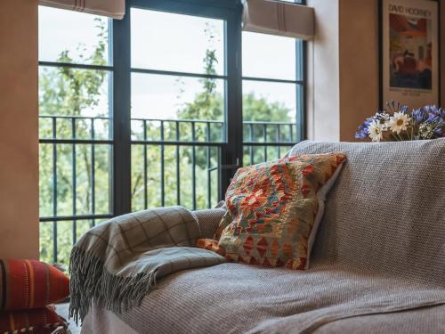 Olive in Willington (Cheshire)