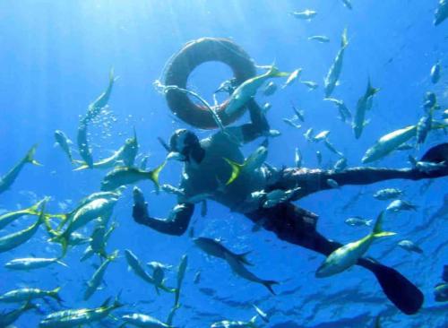 Sea La Vie Villa in Oceanfront Sosua Ocean Village in Sea Horse Ranch