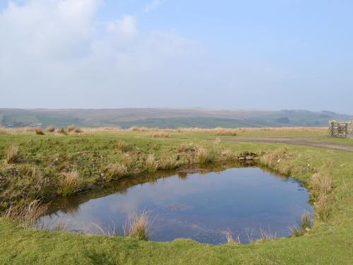 景觀, Greenrigg Cottage in 坎布里亞