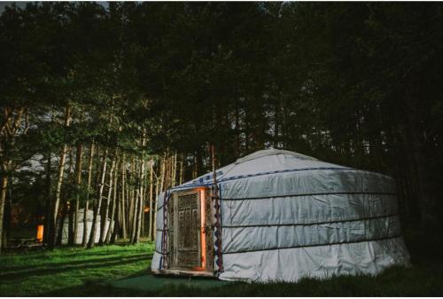 Les insolites de la bastide - Photo 1 in La Bastide, France