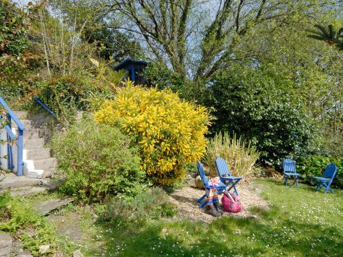 Jardín, Crows Cottage in Fishguard