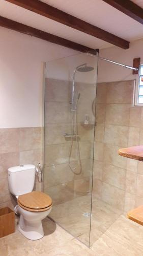 JOLI F2 renove avec terrasse in Capesterre-Belle-Eau