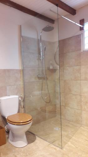 JOLI F2 renove avec terrasse in Capesterre-Belle-Eau